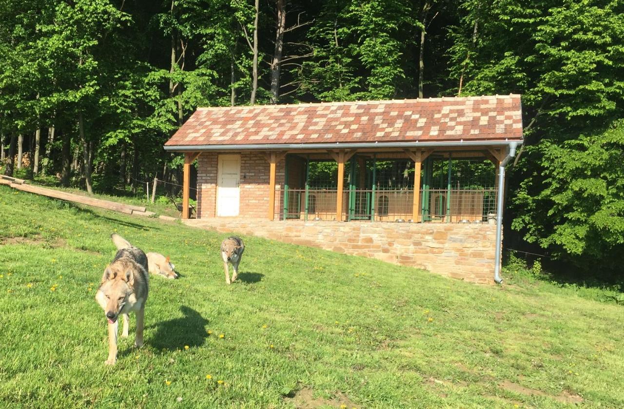 Chata Koniaren Villa Kapipálvágása Kültér fotó