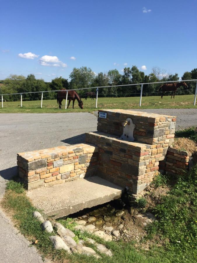 Chata Koniaren Villa Kapipálvágása Kültér fotó